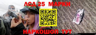 спиды Бийск